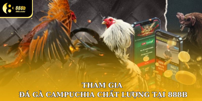 Tham gia đá gà Campuchia chất lượng tại 888B