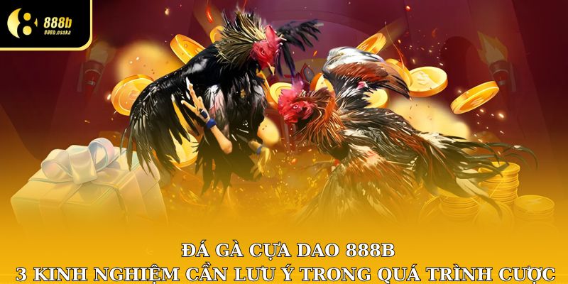 Sơ lược về đá gà cựa dao 888B