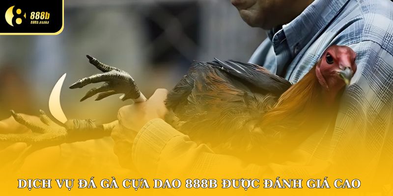 Dịch vụ đá gà cựa dao tại 888B được đánh giá cao