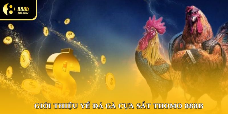 Giới thiệu đá gà cựa sắt Thomo 888B