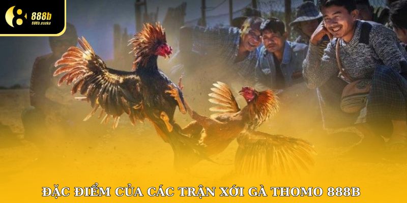 Hướng dẫn chọn cửa đá gà có tỷ lệ thắng cao