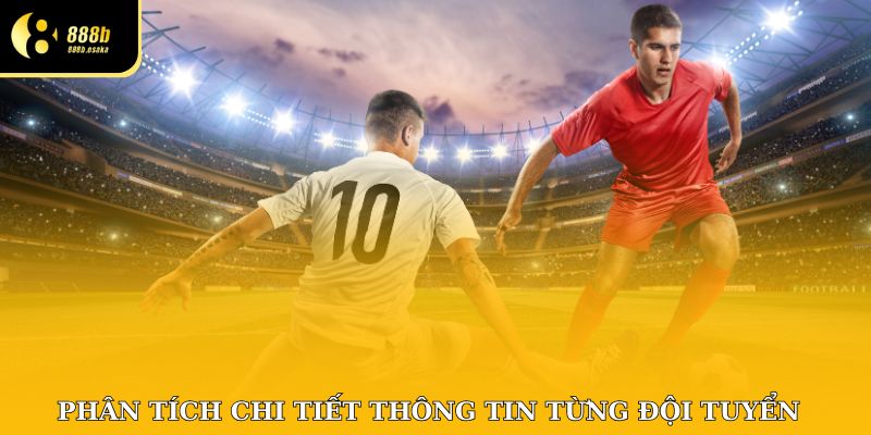 Phân tích chi tiết thông tin từng đội tuyển