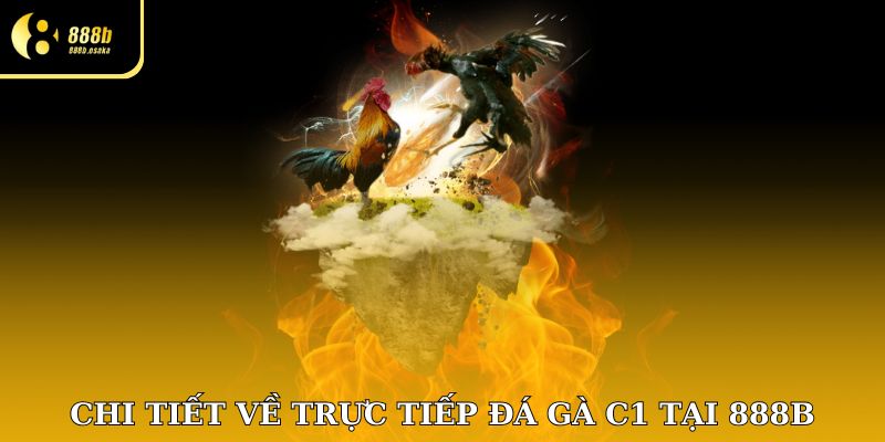Chi tiết về trực tiếp đá gà tại 888B
