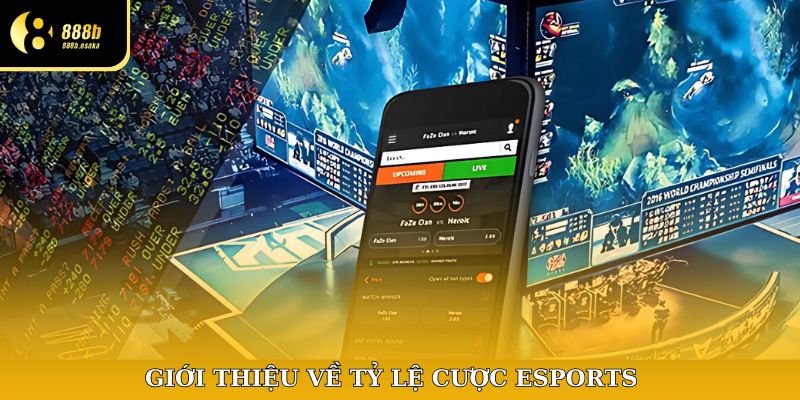 Giới thiệu tỷ lệ cược Esports